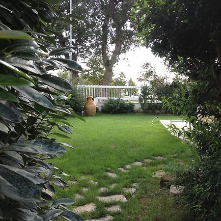 Villa Gioia Rooms Montegranaro Buitenkant foto