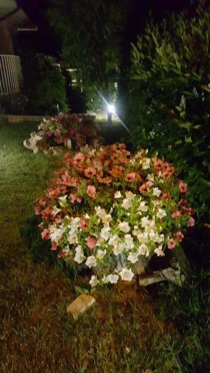 Villa Gioia Rooms Montegranaro Buitenkant foto