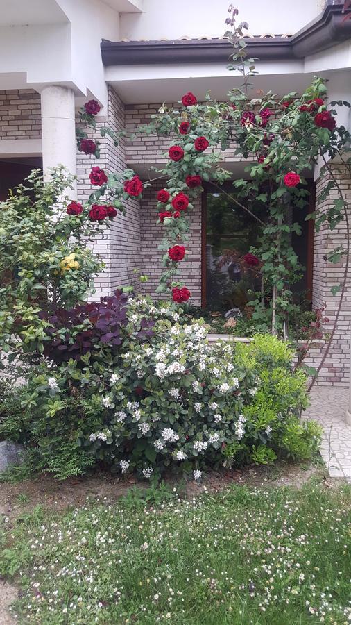 Villa Gioia Rooms Montegranaro Buitenkant foto